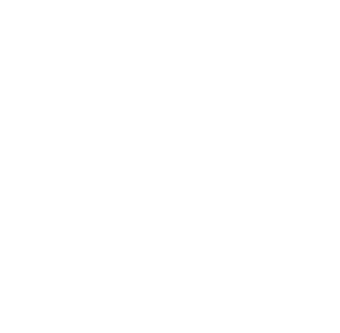 The Joe Rogan Experience